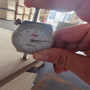 Chất lượng cao Bạch Dương ván ép Độ dày 3/3.6/9/12/15/17/18/20/21mm cho thương mại ván ép lõi Bạch Dương Dương Dương - Product Image 4