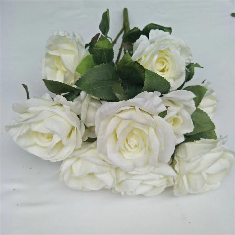 Blanc