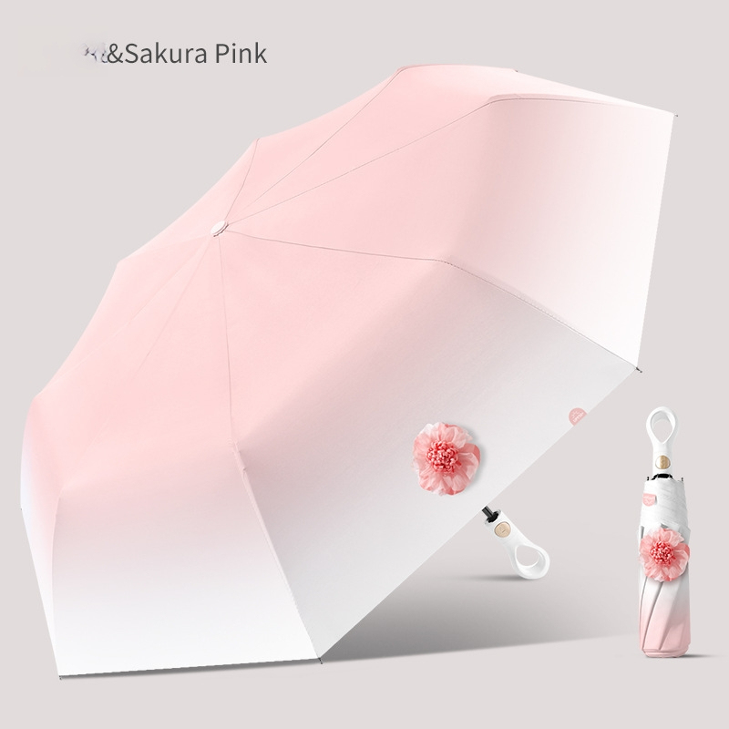 Sakura rose