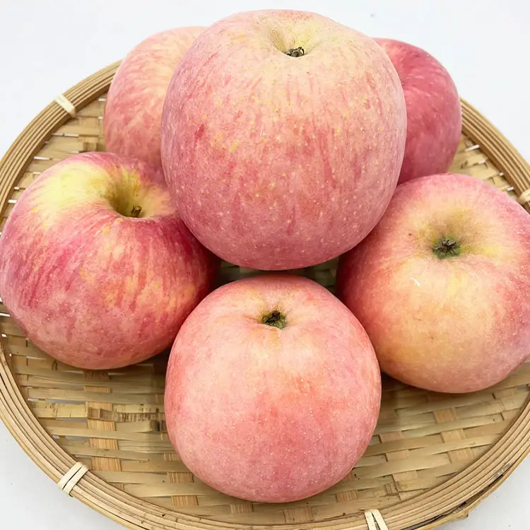 Pemasok produk buah apel Fuji segar lezat Harga terbaik produk Apple Fuji segar