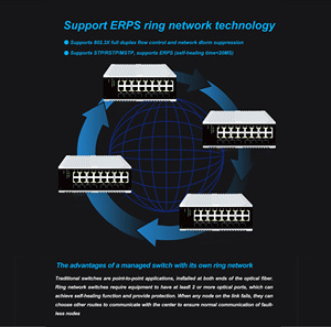5/8/16/24 Port Ethernet VLAN Gigabit <strong>Network</strong> Desktop Industrial Switch with SNMP and QoS Monitoring for Housing <strong>Networks</strong> - Product Image 3