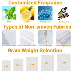 Oem Tùy Chỉnh Phân Hủy Sinh Học Không Có Huỳnh Quang Đại Lý Cá Nhân Khăn Lau Ướt Nhà Vệ Sinh Flushable Khăn Lau Nữ Tính Khăn Lau Cho Người Lớn & Trẻ Em - Product Image 3