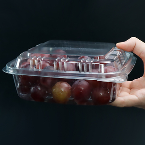 PET Gemüse Obst behälter Frischer Obsts alat Verpackungs behälter Einweg Klarer Kunststoff Clam shell Lebensmittel behälter