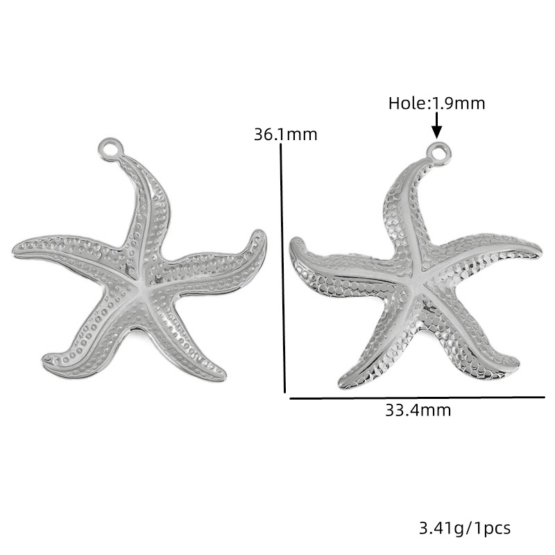 Étoile de mer couleur acier