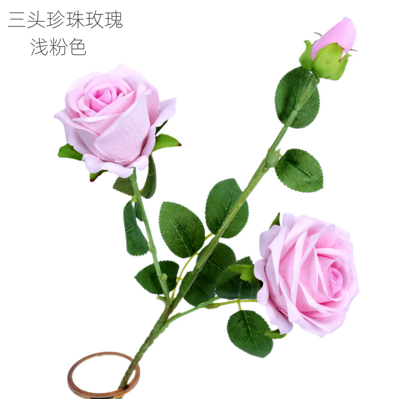 Rosa perla de tres cabezas, rosa claro