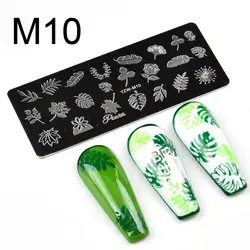 YZW-M10 :