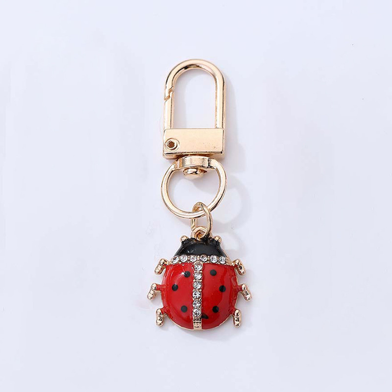 Coccinelle foreuse T