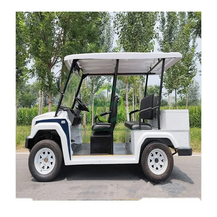 Explosive New Products Street Legal Steering Wheel Solar Powered Golf Cart From China