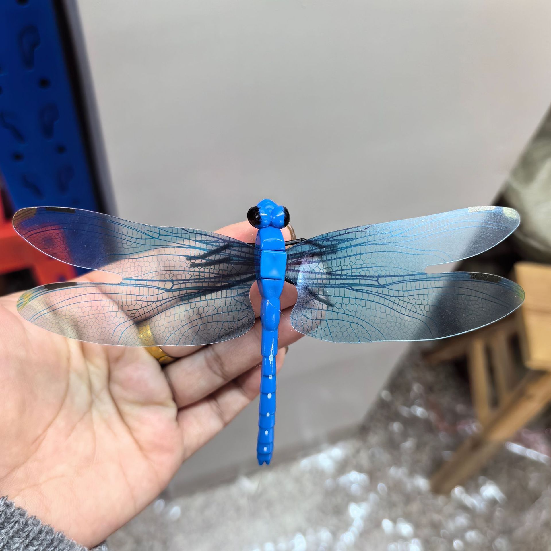 blue-3(Accessories)