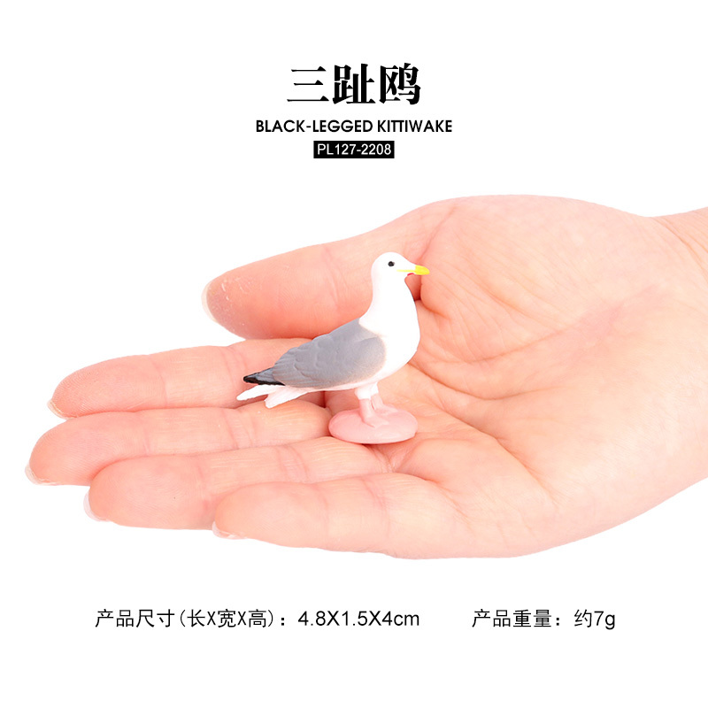 2808 Kittiwake de patas negras