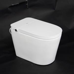 Factory Direct Smart <strong>Toilet</strong> with Advanced Features Floor Mounted Remote Control Seat Heating-<strong>Best</strong> New Design - Product Image 3