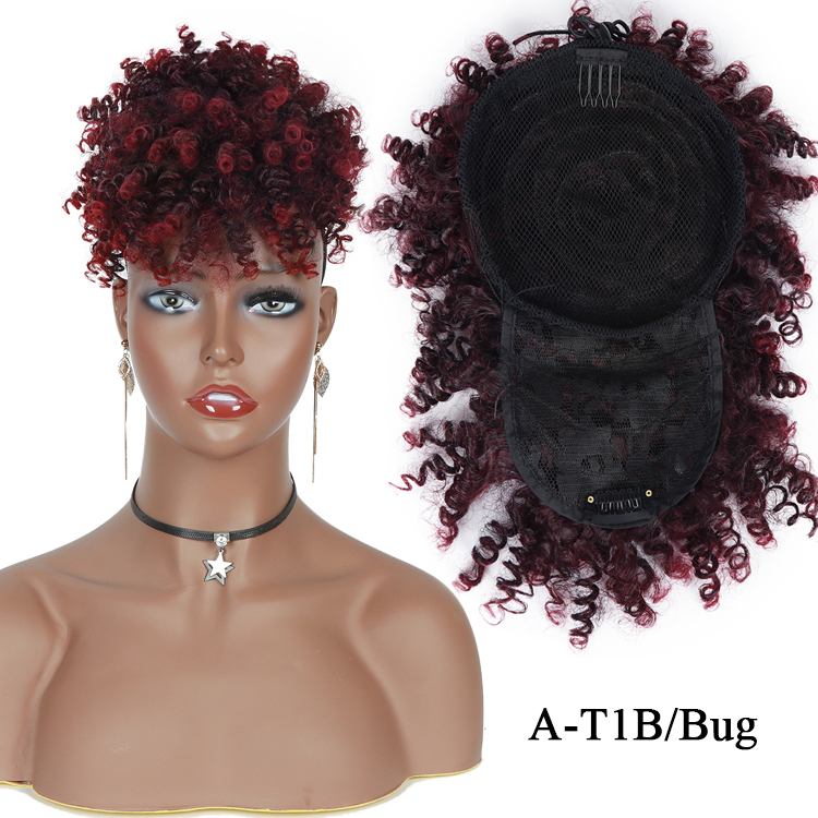 A-T1B/Bug