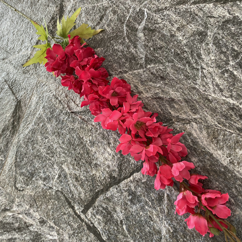 Rosa rossa
