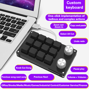 Mini teclado USB Macro personalizado, 12 teclas, 2 perillas de programación, DIY Teclado mecánico, interruptor de dibujo para juegos, teclado portátil de intercambio en caliente
