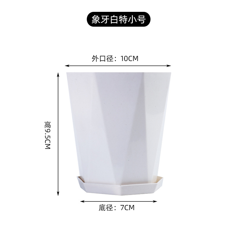 Ivory white extra small