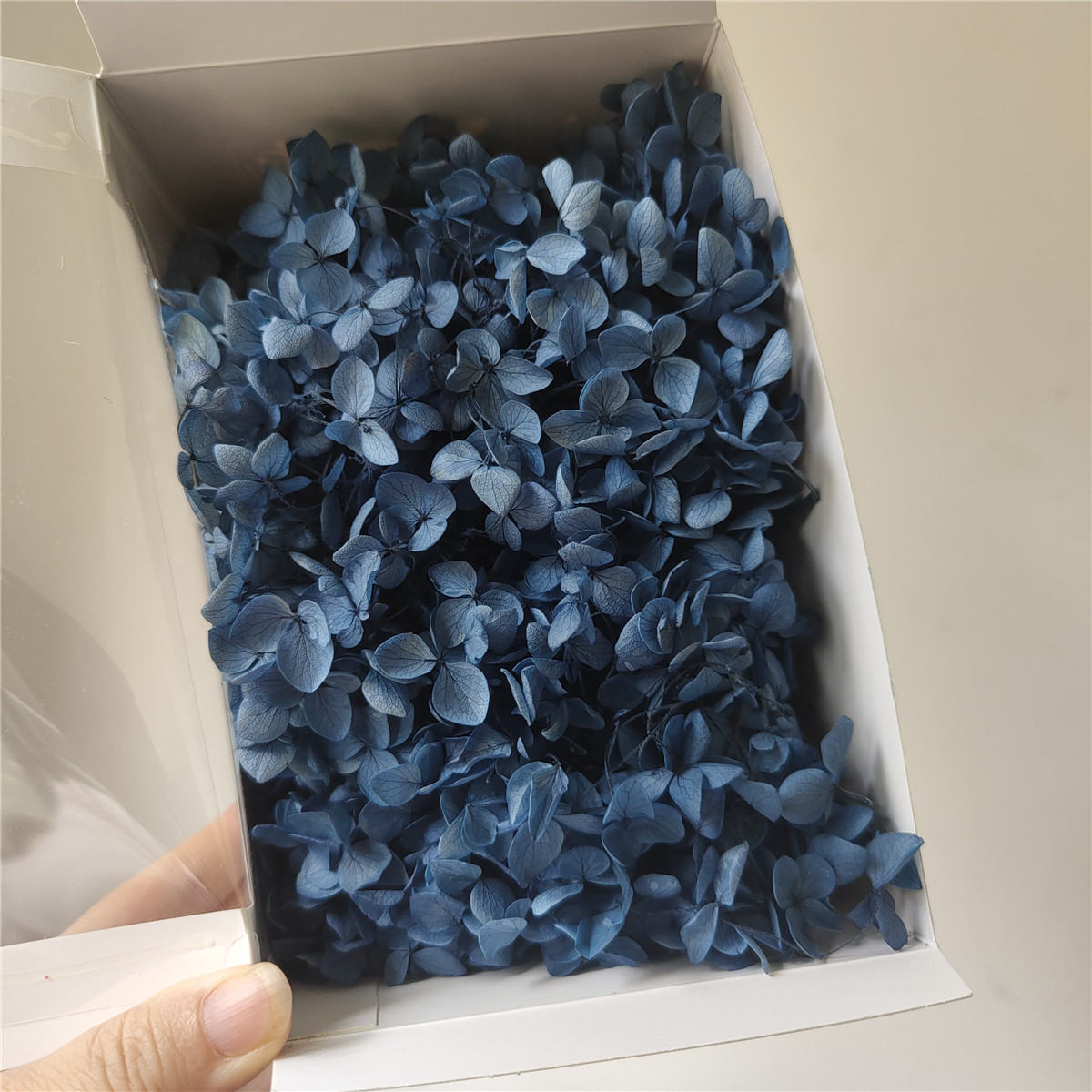 bleu grisâtre