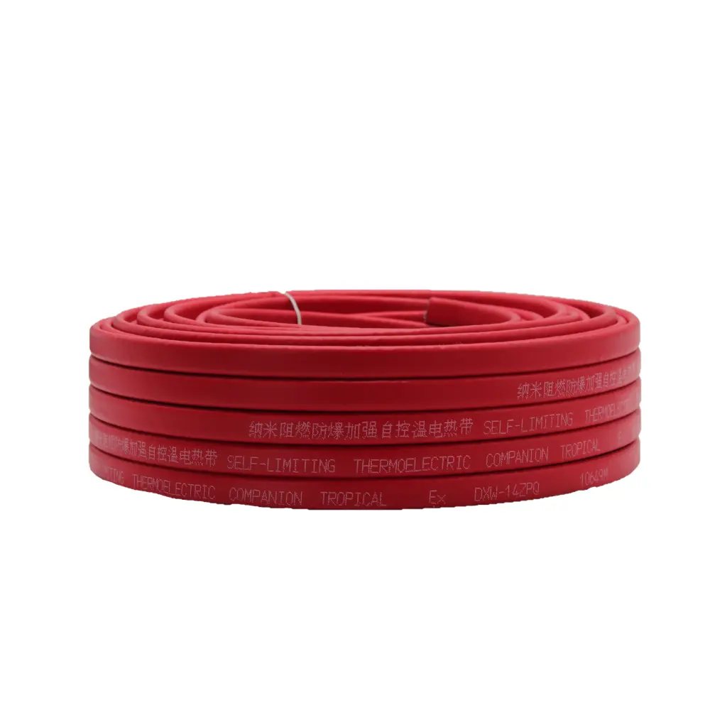 Factory hot sale roof pipe driveway low voltage 220v electric self-regulating heating cable