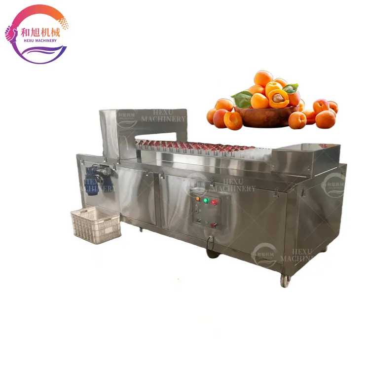 Uso commerciale semi di albicocca remove machine automatic peach prugna kernel