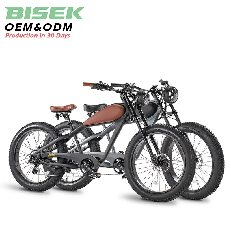 OEM dicke reifen moped elektrisches gelände reifen e-bike für zwei sitze reise 500/750w andere motorräder straße sportfahrräder atv mario e-bike
