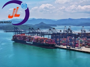 Envío marítimo puerta a puerta Servicio de consolidación de exportaciones de EE. UU. Logística de avance de importación con LCL + Trucking para un envío sin problemas - Product Image 6