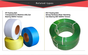 制造绿色Fleje PET全自动机器使用托盘包装塑料钢捆扎带带 - Product Image 3
