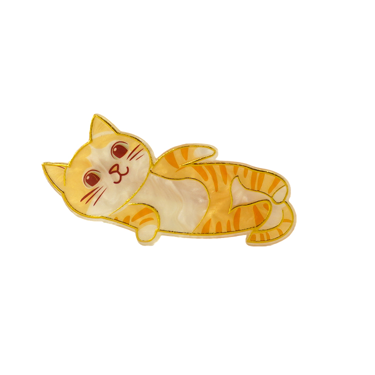 Orange cat