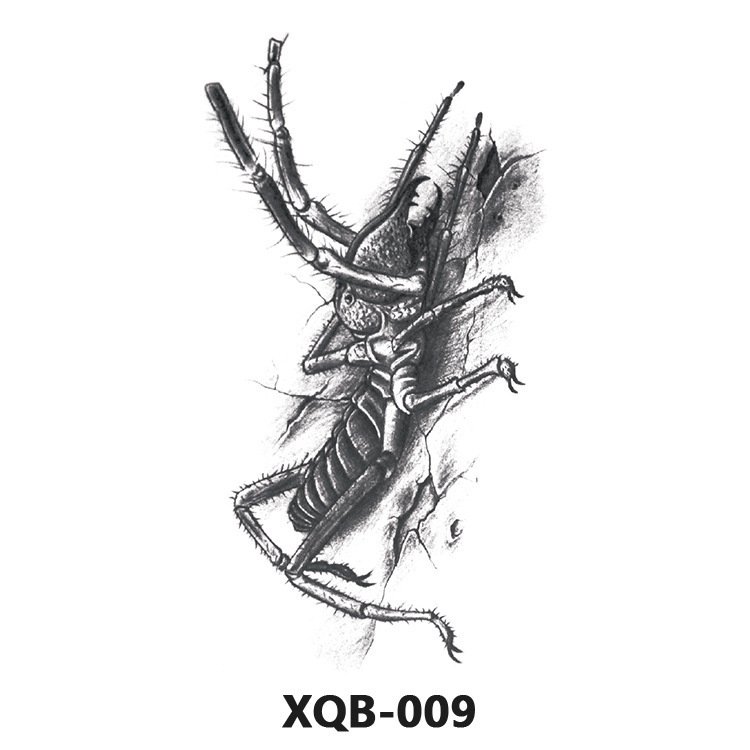 Xqb-009 - 114*210mm