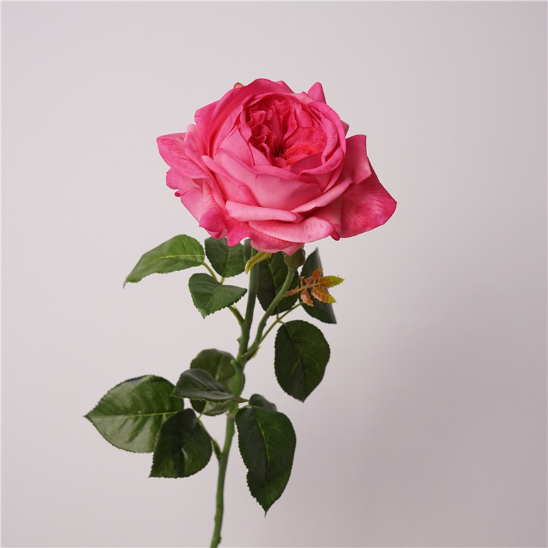 Rose madder