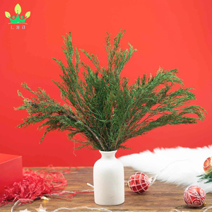 保存された本物の松の葉の枝自然な緑の植物松の小枝の茎の針ガーランドリースクリスマスの装飾のための常緑のピック