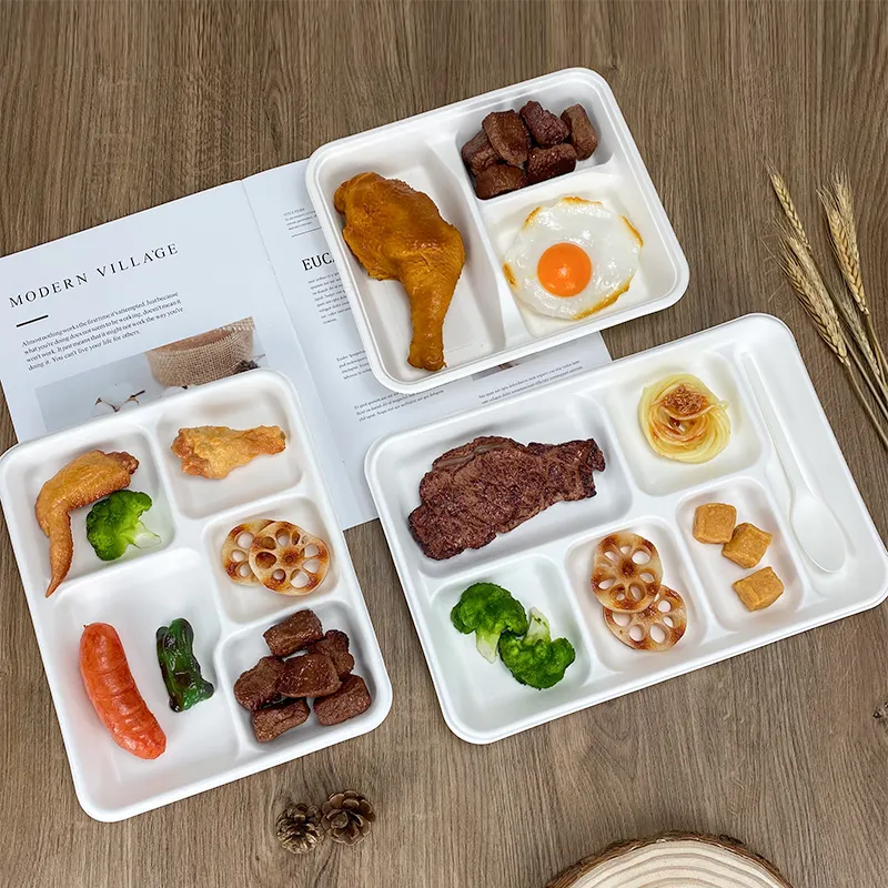Biodegradable Disposable Recyclable Sugarcane Pulp 3 5 6 Compartment Bagasse Tableware Food Trays Meal Lunch Pulp Apple Tray