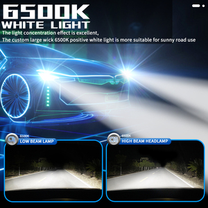 Kamyonlar için yüksek güç 120W LED farlar Off-Road su geçirmez IP67 halojen değiştirme - Product Image 4