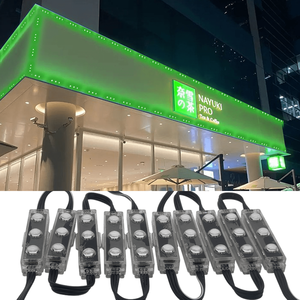 โมดูลราคาโรงงาน gouly นํากลางแจ้ง 3leds ucs1903 ip68 โมดูล LED ขนาดเล็กกันน้ํา