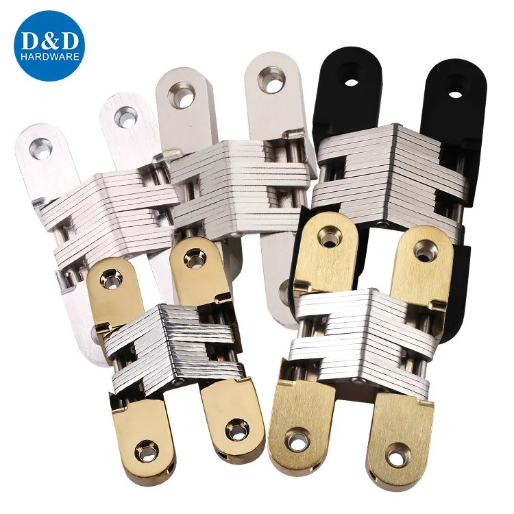 Zinc Alloy PVD black antique brass stainless steel invisible concealed hinges for Indoor Door