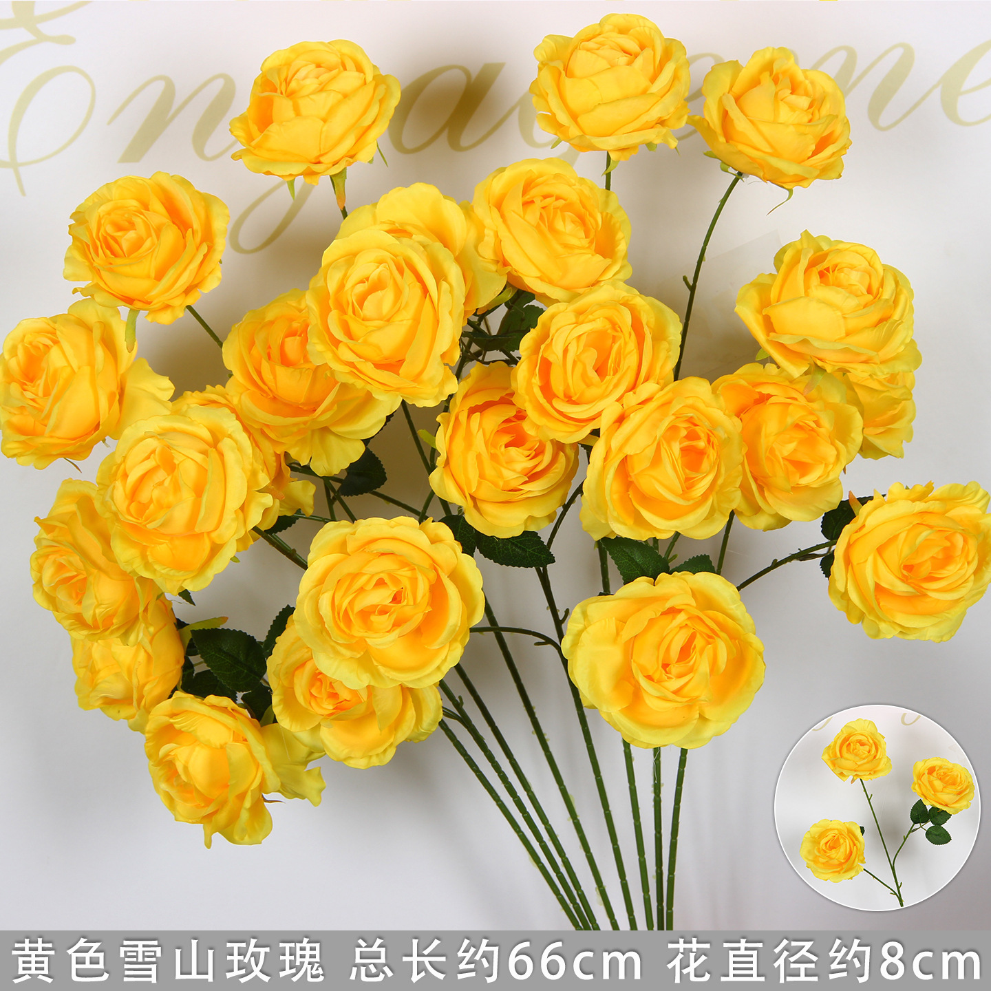 Yellow Snow Mountain Rose Branch