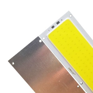 Hot Sale 120x36mm COB Light Board <strong>LED</strong> Surface Light Source Cold and Warm Natural White Blue Red <strong>12V</strong> <strong>10W</strong> <strong>Led</strong> Light Strip Chip - Product Image 4