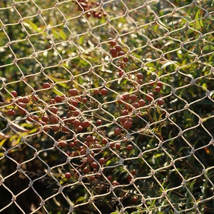 Di alta qualità HDPE Farm Anti uccello rete rete rete per rete di uccelli per la costruzione di interni - Product Image 4