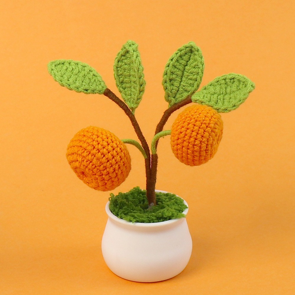 (type d) plante en pot kaki ruyi
