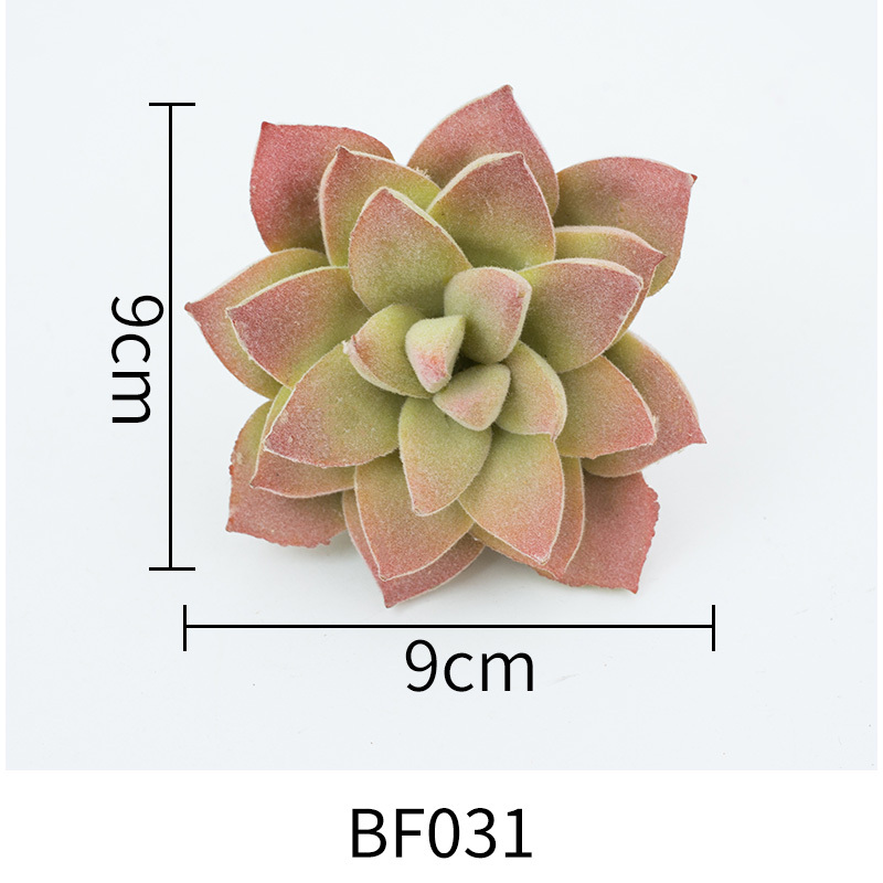 BF031