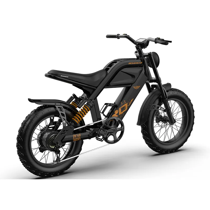 2023 Roadsan E bike с 48 В, 15 А/20 А/ч, съемный литиевый аккумулятор 250 Вт/500 Вт/750 Вт, средний двигатель, 20-дюймовая подвеска, толстая шина, Электрический B