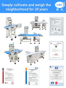 J-sky Non standard su misura di alta precisione a destra e sinistra scala di smistamento piccola pesatura automatizzata macchina di ispezione del peso - Product Image 6