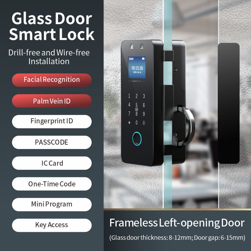 Frameless Left-Hand Door