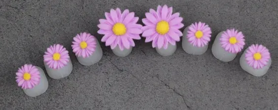 Pourpre