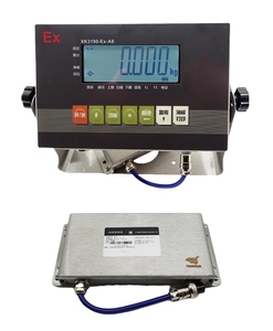 Indicatore completo in acciaio inossidabile per la pesatura di componenti LCD Display Anti-prova OEM & ODM supportato - Product Image 6