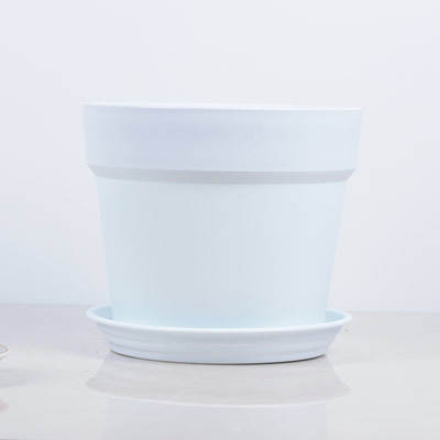 Blanc (avec plateau)