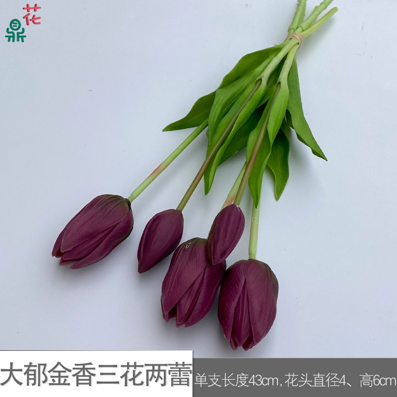 Grande tulipe à trois fleurs et deux boutons (SCN, violet)