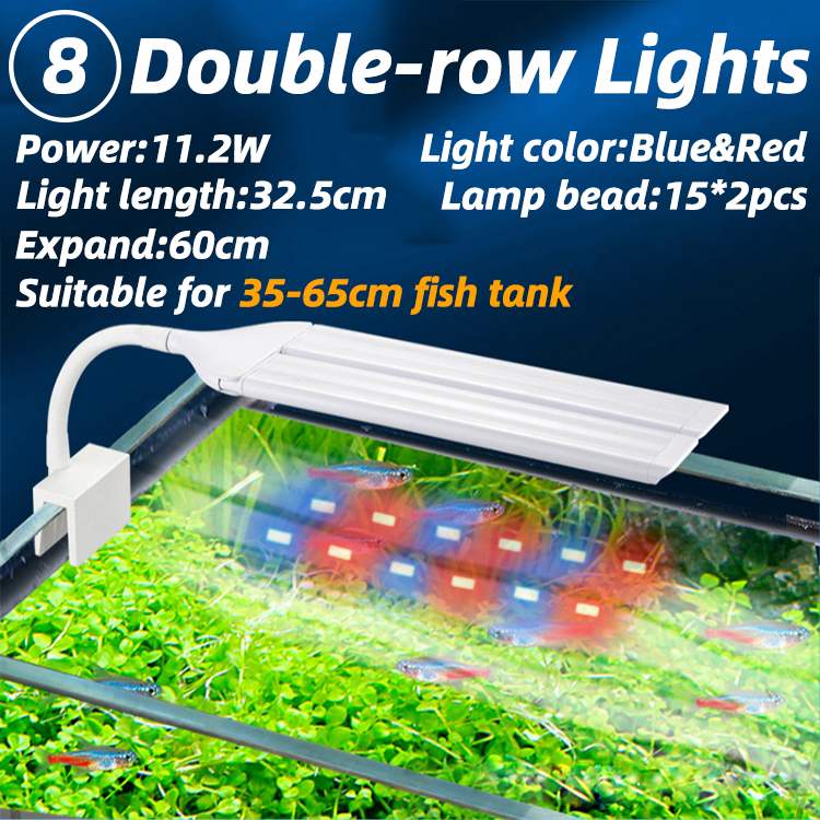 11.2W-Lumières à deux rangées bleues et rouges