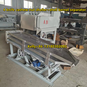 Anacardos que quitan la cáscara Máquina de separación de anacardos - Product Image 6