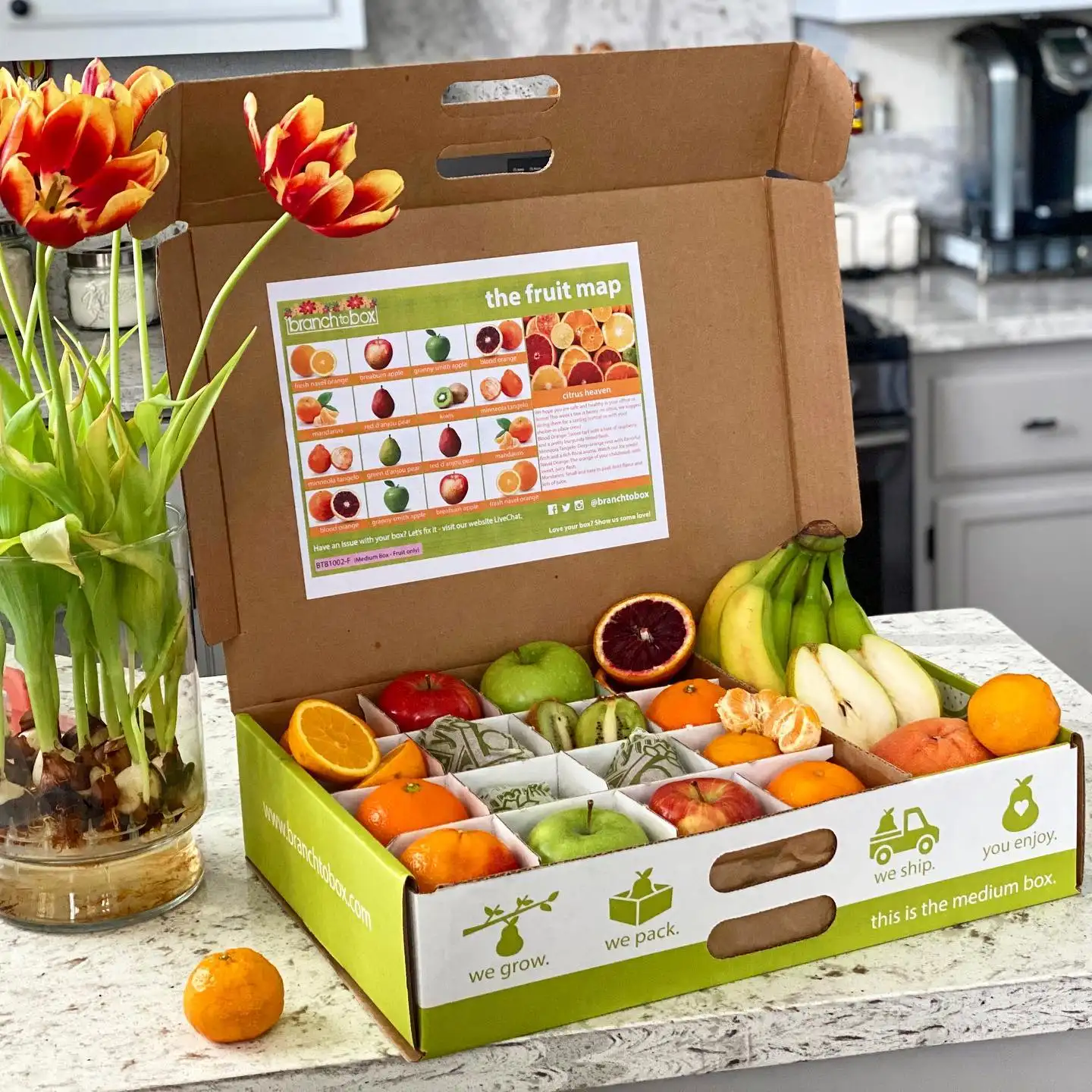 Emballage ondulé en papier pour grenade orange, boîte d'emballage en carton pour fruits et légumes, kiwi dragon