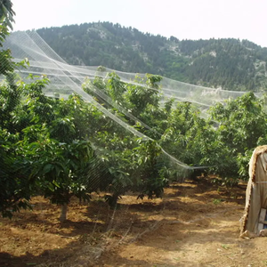 Agriculturefor Fruit <strong>Tree</strong> Greenhouse <strong>Cover</strong> Insect <strong>Net</strong> Anti Bird <strong>Net</strong> - Product Image 6