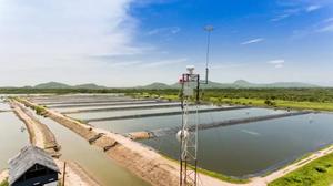 Hot bán 1km nhận dạng con người tầm xa PTZ <span class=keywords><strong>camera</strong></span> Night Vision IP <span class=keywords><strong>Camera</strong></span> - Product Image 5